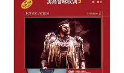 国歌指挥手势视频教程,标准动作解析与实操指南